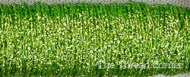 015 Chartreuse4